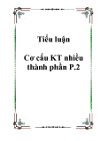 Tiểu luận Cơ cấu KT nhiều thành phần P.2