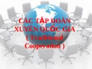 CÁC TẬP ĐOÀN XUYÊN QUỐC GIA ( Traditional Cooperation )