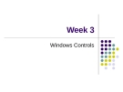 Week 3 - Windows Controls