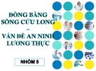 Đồng bằng Sông Cửu Long vấn đề an ninh lương thực