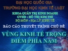 Vùng kinh tế trọng điểm phía Nam