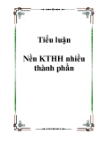 Tiểu luận Nền KTHH nhiều thành phần