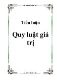 Tiểu luận đề tài :  Quy luật giá trị