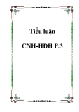 Tiểu luận CNH-HĐH P.3