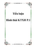 Tiểu luận  phân tích Hình thái KTXH