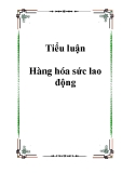 Tiểu luận Hàng hóa sức lao động.