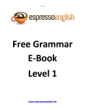 Free Grammar E-Book Level 1