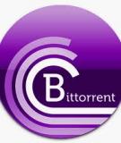 Những điều có thể bạn chưa biết về BitTorrent