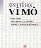 Giáo trình học môn Kinh tế học vĩ mô