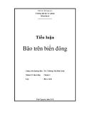 Tiểu luận:Bão trên biển Đông