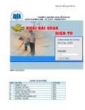 Khai baó Haỉ quan điêṇ tử