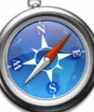 Safari 4.0 cho Windows: Có nên dùng thử?