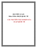 TIỂU LUẬN:CÁC NGUYÊN TẮC CƠ BẢN CỦA LUẬT QUỐC TẾ