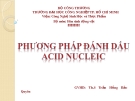 PHƯƠNG PHÁP ĐÁNH DẤU ACID NUCLEIC