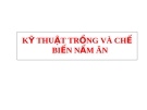 CÁC KỸ THUẬT TRỒNG VÀ CHẾ BIẾN NẤM ĂN