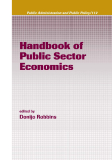 Handbook of Public Sector Economics