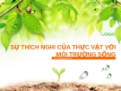 SỰ THÍCH NGHI CỦA THỰC VẬT VỚI MÔI TRƯỜNG