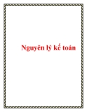 Nguyên lý kế toán