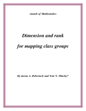 Đề tài "Dimension and rank for mapping class groups "