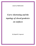 Đề tài "  Curve shortening and the topology of closed geodesics on surfaces "