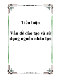 Tiểu luận Vấn đề đào tạo và sử dụng nguồn nhân lực