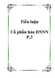 Tiểu luận Cổ phần hóa DNNN 