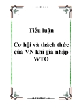 Tiểu luận Cơ hội và thách thức của VN khi gia nhập WTO