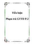 Tiểu luận Phạm trù GTTD 