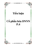 Tiểu luận Cổ phần hóa DNNN P.4