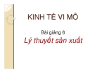 Bài giảng 6:  Lý thuyết sản xuất