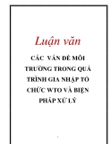 Luận văn: CÁC VẤN ĐỀ MÔI TRƯỜNG TRONG QUÁ TRÌNH GIA NHẬP TỔ CHỨC WTO VÀ BIỆN PHÁP XỬ LÝ