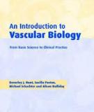 An Introduction to Vascular Biology From basic science to clinical practice SECOND EDITION