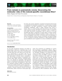 Báo cáo khoa học: From meiosis to postmeiotic events: Uncovering the molecular roles of the meiosis-specific recombinase Dmc1