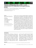 Báo cáo khoa học: Analysis of DNA-binding sites on Mhr1, a yeast mitochondrial ATP-independent homologous pairing protein