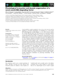 Báo cáo khoa học: Physiological truncation and domain organization of a novel uracil-DNA-degrading factor