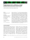 Báo cáo khoa học:  Synchronization of Ca2+ oscillations: a coupled oscillator-based mechanism in smooth muscle