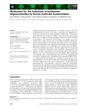 Báo cáo khoa học: Mechanism for the hydrolysis of hyaluronan oligosaccharides by bovine testicular hyaluronidase