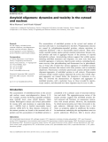 Báo cáo khoa học:  Amyloid oligomers: dynamics and toxicity in the cytosol and nucleus