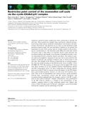 Báo cáo khoa học: Restriction point control of the mammalian cell cycle via the cyclin E/Cdk2:p27 complex