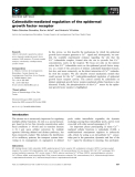 Báo cáo khoa học: Calmodulin-mediated regulation of the epidermal growth factor receptor