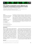 Báo cáo khoa học: From meiosis to postmeiotic events: Alignment and recognition of homologous chromosomes in meiosis