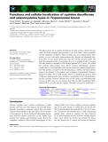 Báo cáo khoa học: Functions and cellular localization of cysteine desulfurase and selenocysteine lyase in Trypanosoma brucei