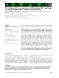 Báo cáo khoa học: Developmental consequences of alternative Bcl-x splicing during preimplantation embryo development