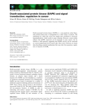 Báo cáo khoa học:  Death-associated protein kinase (DAPK) and signal transduction: regulation in cancer