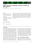 Báo cáo khoa học: Human telomeric G-quadruplex: structures of DNA and RNA sequences