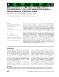 Báo cáo khoa học: Characterization of an N6 adenine methyltransferase from Helicobacter pylori strain 26695 which methylates adjacent adenines on the same strand