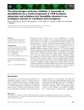 Báo cáo khoa học: The plasminogen activator inhibitor 2 transcript is destabilized via a multi-component 3¢ UTR localized adenylate and uridylate-rich instability element in an analogous manner to cytokines and oncogenes