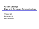 Chapter 12 :Congestion in Data Networks