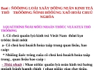 Đường lối phát triển kinh tế thị trường