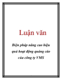 Luận văn: Biện pháp nâng cao hiệu quả hoạt động quảng cáo của công ty VMS